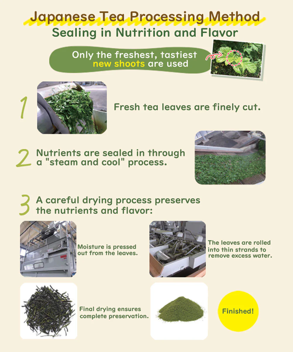 MULBERRY LEAF TEA INDIGESTIBLE DEXTRIN PLUS - Image 6